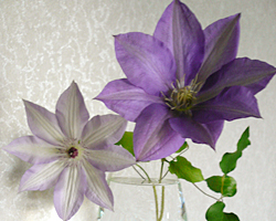 20080501_01.jpg