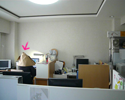 20080505_01.jpg