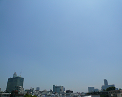 20080613_05.jpg