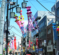 20080624_01.jpg