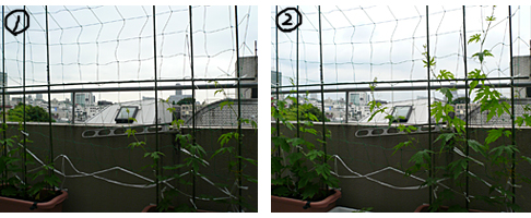 20080630_01.jpg