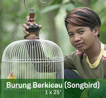 Songbird