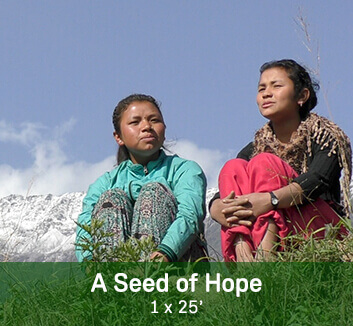 A Seed of Hope